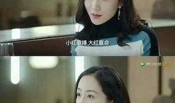 娱乐圈吃瓜后宫小说